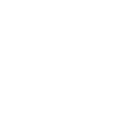 Domestica Clean logo